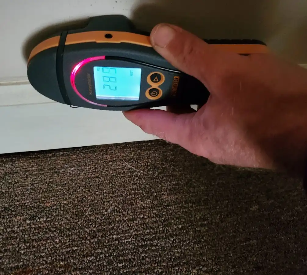 Moisture detection at baseboard during Mold Inspection & Testing in Gorham